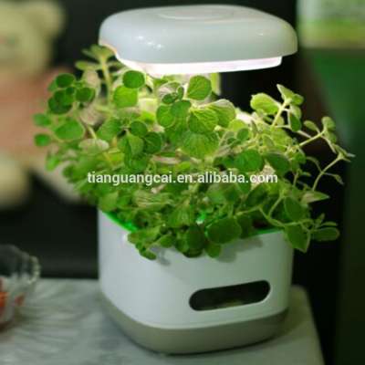 Portable home and office desktop plant lights desktop air purification system