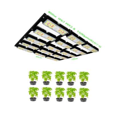 2020 New design 600W led grow light 12pcs 50W Waterproof Modules for hydroponics lighting factory price